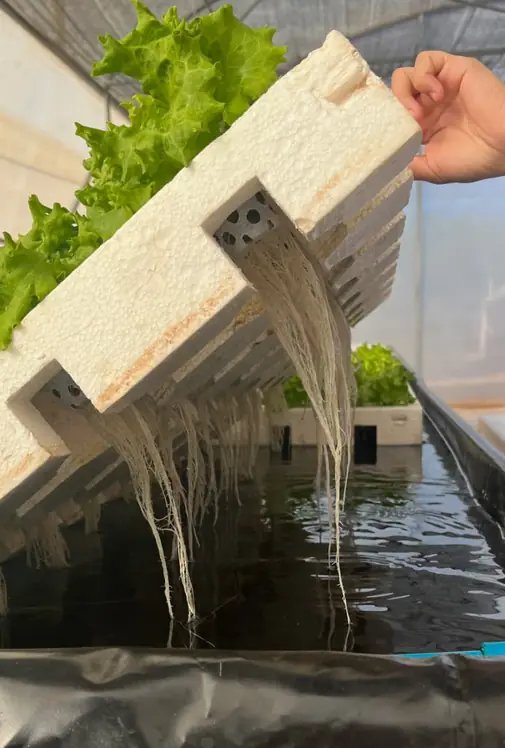 L'eau, utilisée avec soin